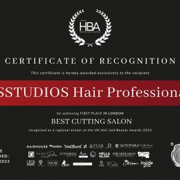 WSSTUDIOS UK HBA hair and beauty winner best cutting salon 2023