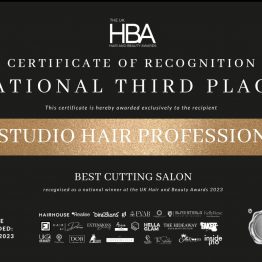 "Image: WS Studio Hair Professionals Certificate of Recognition for Best Cutting Salon, achieving national third place at the UK Hair and Beauty Awards 2023."